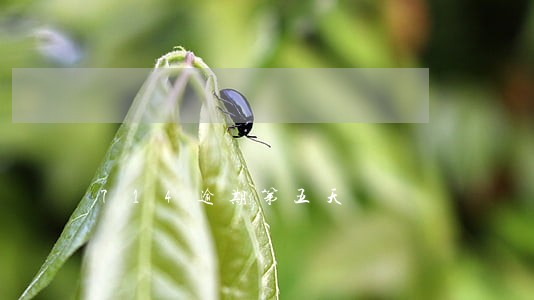 714逾期第五天 714逾期第五天
