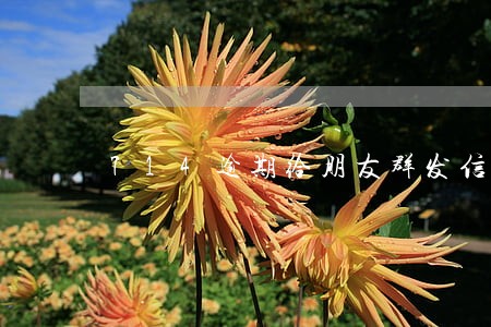 714逾期给朋友群发信息 714逾期给朋友群发信息
