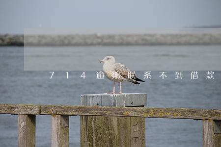 714逾期联系不到借款人 714逾期联系不到借款人