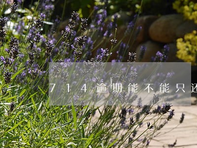 714逾期能不能只还本金 714逾期能不能只还本金