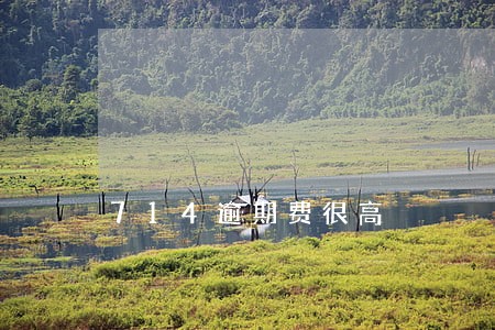 714逾期费很高 714逾期费很高