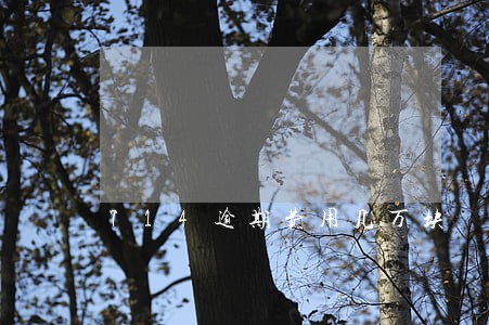 714逾期费用几万块 714逾期费用几万块
