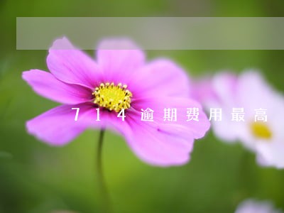 714逾期费用最高 714逾期费用最高
