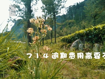 714逾期费用高要不要还 714逾期费用高要不要还
