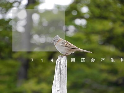 714逾期还会产生利息吗 714逾期还会产生利息吗