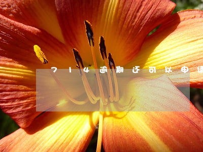 714逾期还可以申请信用卡么