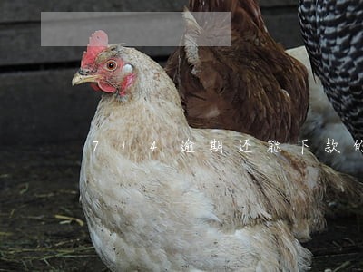 714逾期还能下款的口子 714逾期还能下款的口子