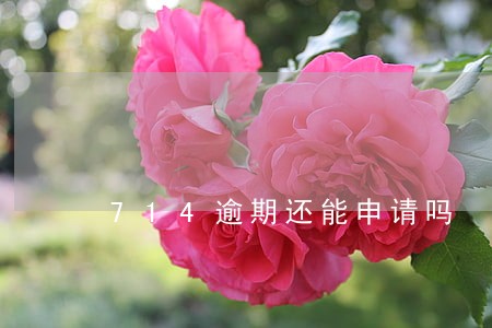 714逾期还能申请吗 714逾期还能申请吗