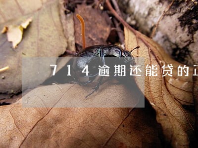 714逾期还能贷的正规平台 714逾期还能贷的正规平台