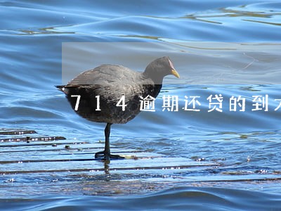 714逾期还贷的到大额吗 714逾期还贷的到大额吗