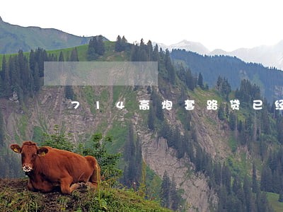 714高炮套路贷已经逾期半年了 714高炮套路贷已经逾期半年了