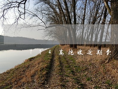 714高炮收逾期费 714高炮收逾期费