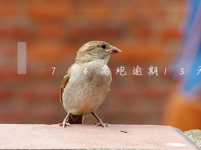 714高炮逾期15天上门 714高炮逾期15天上门