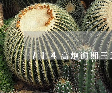 714高炮逾期三天了没人问 714高炮逾期三天了没人问