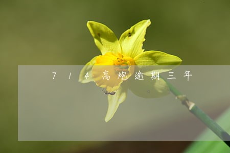 714高炮逾期三年 714高炮逾期三年