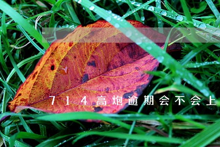 714高炮逾期会不会上信联 714高炮逾期会不会上信联