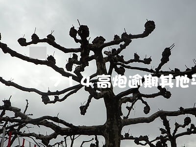714高炮逾期其他平台能借吗 714高炮逾期其他平台能借吗