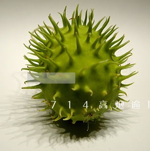 714高炮逾期半年了 714高炮逾期半年了