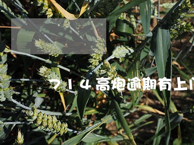 714高炮逾期有上门的吗 714高炮逾期有上门的吗