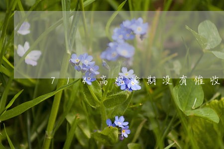 714高炮逾期没有催收 714高炮逾期没有催收