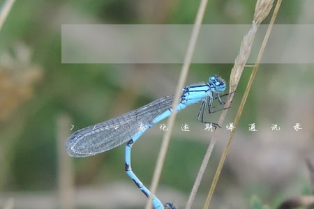 714高炮逾期爆通讯录 714高炮逾期爆通讯录