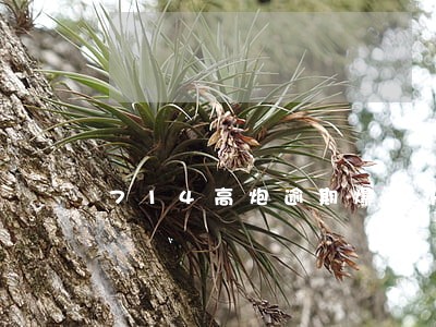 714高炮逾期爆通讯录怎么办 714高炮逾期爆通讯录怎么办