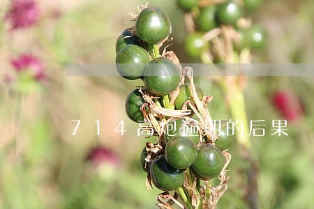 714高炮逾期的后果 714高炮逾期的后果