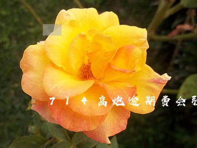 714高炮逾期费会强制