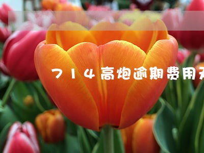 714高炮逾期费用天天在涨
