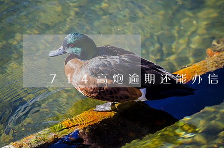 714高炮逾期还能办信贷吗 714高炮逾期还能办信贷吗
