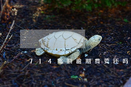 714高额逾期费要还吗 714高额逾期费要还吗