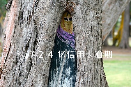 724亿信用卡逾期 724亿信用卡逾期