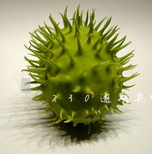 730逾期花呗利息怎么算