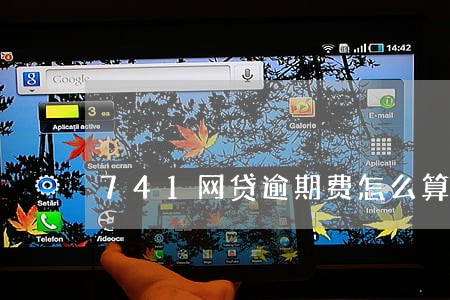 741网贷逾期费怎么算才合法