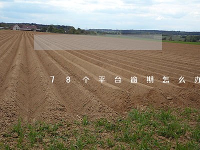 78个平台逾期怎么办 78个平台逾期怎么办