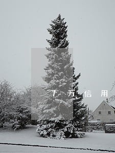 7万信用卡逾期会怎么样