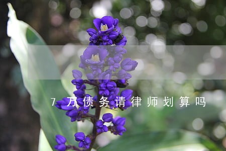 7万债务请律师划算吗 7万债务请律师划算吗