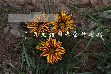 7万元信用卡全部逾期 7万元信用卡全部逾期