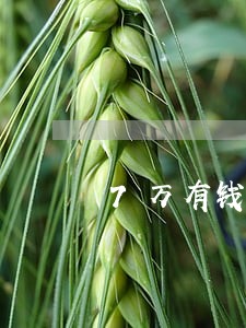 7万有钱花逾期利息怎么算 7万有钱花逾期利息怎么算