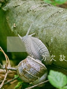 7万欠款要逾期 7万欠款要逾期