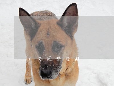 7万网贷逾期