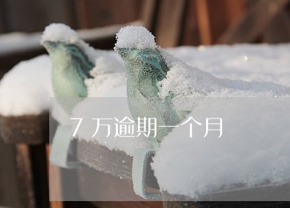 7万逾期一个月 7万逾期一个月