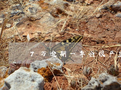7万逾期一年会很严重吗 7万逾期一年会很严重吗