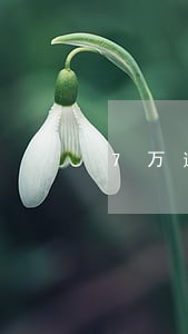 7万逾期罚息多少 7万逾期罚息多少