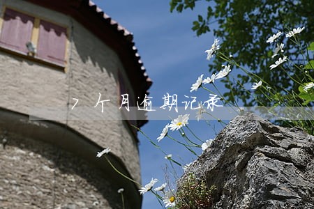 7个月逾期记录 7个月逾期记录