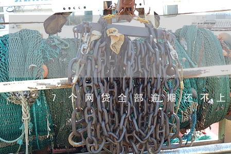 7个网贷全部逾期还不上怎么办 7个网贷全部逾期还不上怎么办