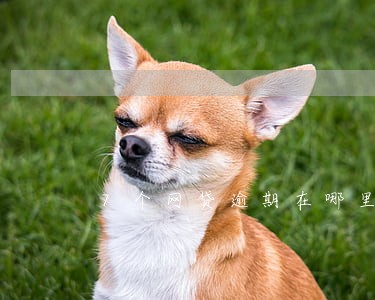 7个网贷逾期在哪里还能借钱 7个网贷逾期在哪里还能借钱