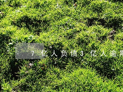 7亿人负债3亿人逾期谣言 7亿人负债3亿人逾期谣言
