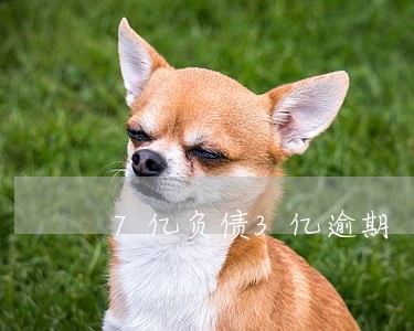 7亿负债3亿逾期 7亿负债3亿逾期
