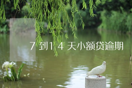 7到14天小额贷逾期 7到14天小额贷逾期